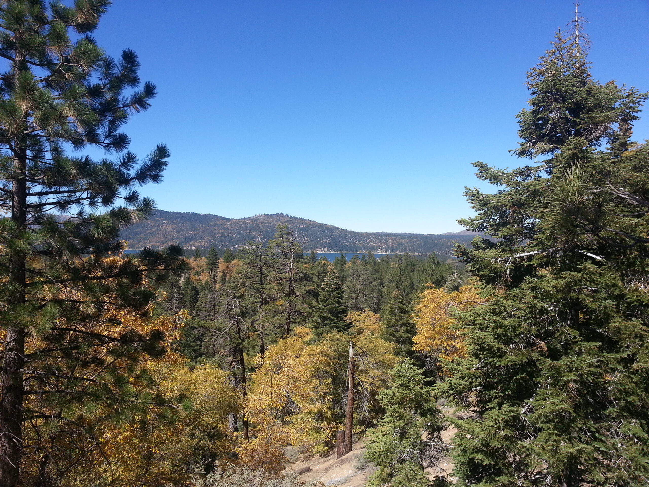 Big Bear Lake from Cougar Crest Trail